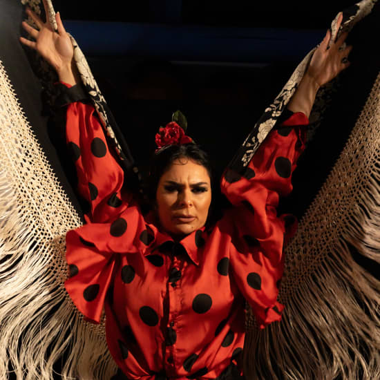 Disfruta del Flamenco Auténtico en Málaga