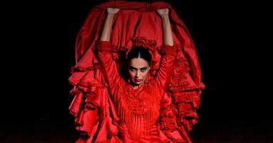 Esencia en Málaga: Flamenco en el Teatro Flamenco
