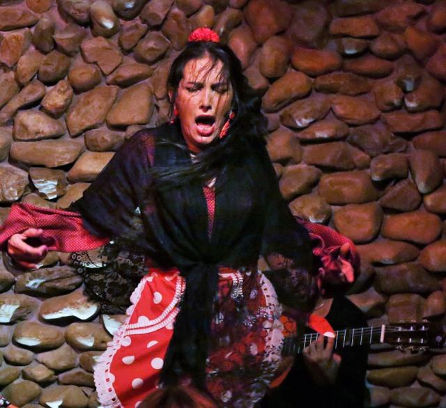 Foto de Flamenco - El Gallo Ronco por Flamenco - El Gallo Ronco