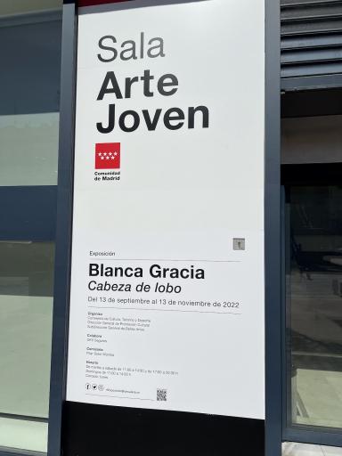 Foto de Sala de Arte Joven por Marcos Miguélez Cabezas