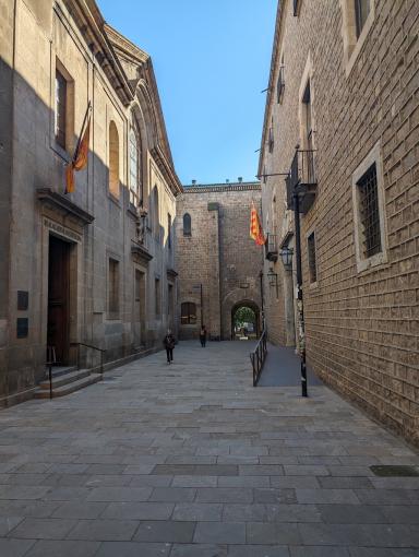 Foto de Real Academia de Medicina de Cataluña por Adam Korczak