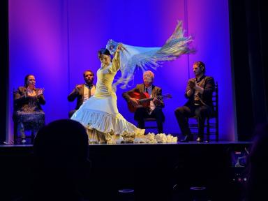 Foto de Teatro Flamenco Granada por Dirk Timmer