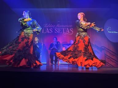Foto de Tablao Flamenco Las Setas por Niki